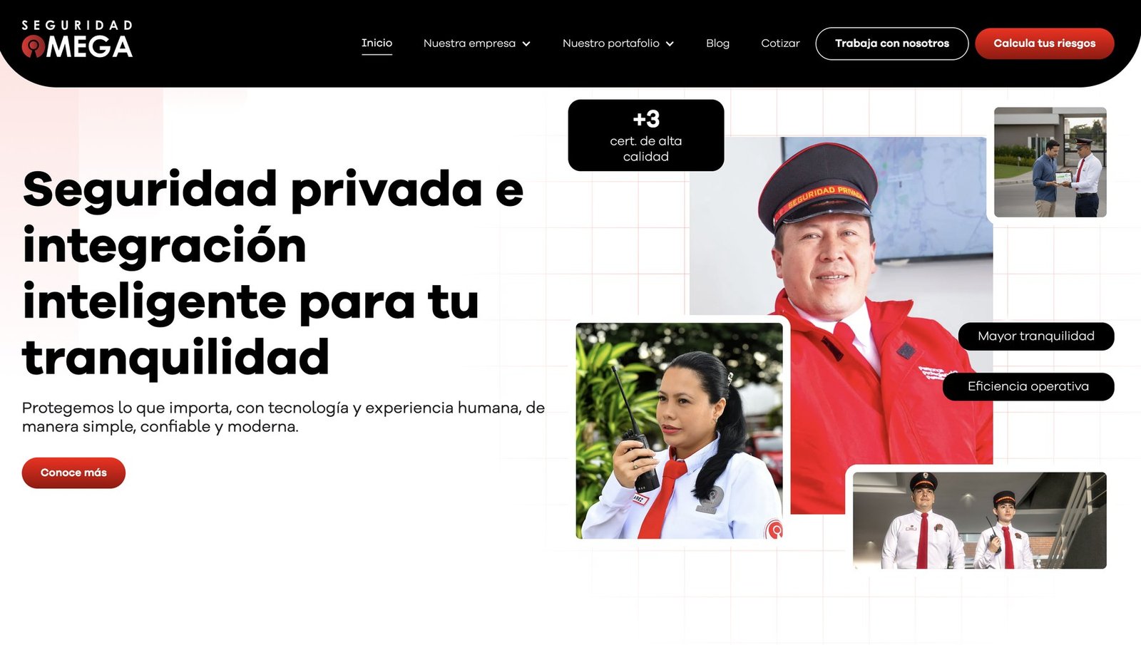 Seguridad Omega website homepage, designed and built by Bliink Design
